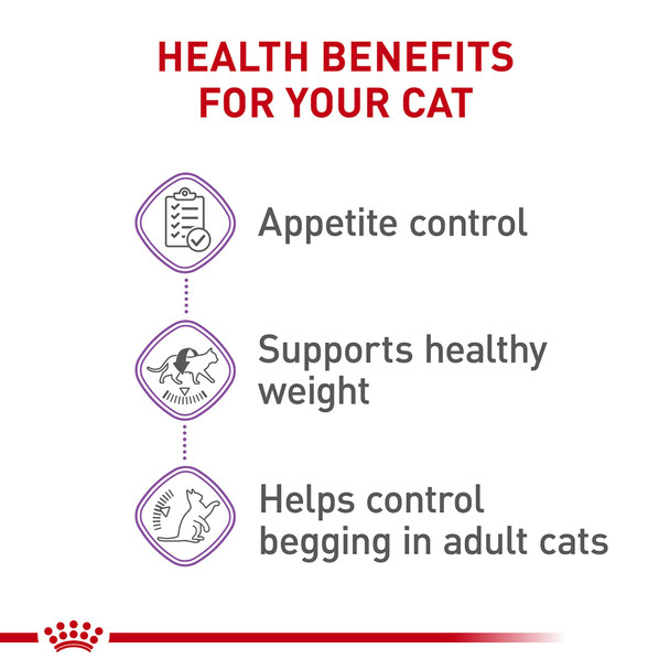 Royal Canin Feline Care Nutrition Appetite Control Care Adult Dry Cat Food Bag 14 Lb