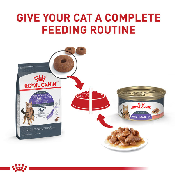 Royal Canin Feline Care Nutrition Appetite Control Care Adult Dry Cat Food Bag 14 Lb