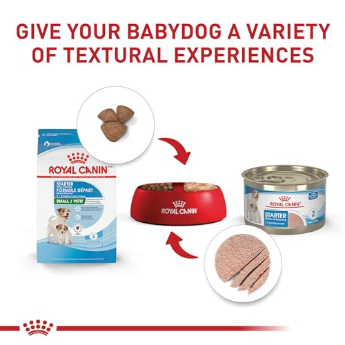 Royal Canin Size Health Nutrition Small Starter Mother & Babydog Dry Dog Food 14 Lb