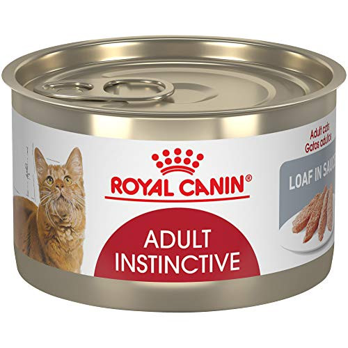 Royal Canin Feline Health Nutrition Adult Instinctive Adult Loaf In Sauce Cat Food 5.1 Oz Pack Of 24