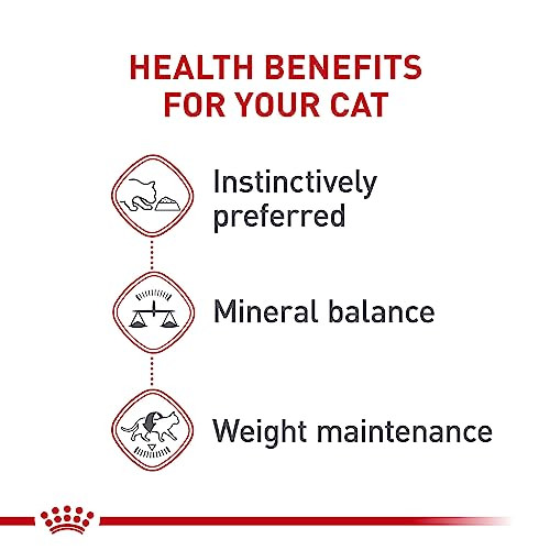 Royal Canin Feline Health Nutrition Adult Instinctive Adult Loaf In Sauce Cat Food 5.1 Oz Pack Of 24