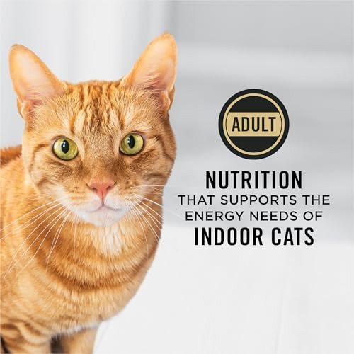 Purina Pro Plan Hairball Management Indoor Cat Food Turkey And Rice Formula . Bag 16 Lb