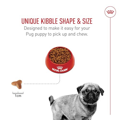 Royal Canin Breed Health Nutrition Pug Puppy Dry Dog Food Bag 2.5 Lb