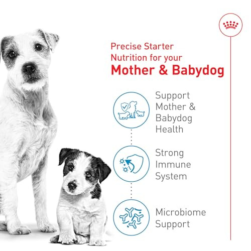 Royal Canin Size Health Nutrition Small Starter Mother & Babydog Dry Dog Food 2.5 Lb