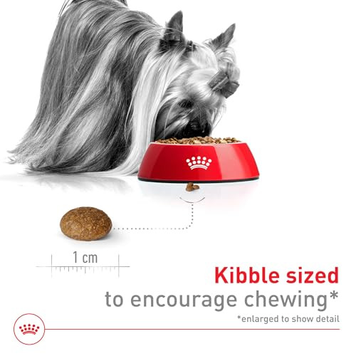 Royal Canin Size Health Nutrition XSmall 8+ Senior Dry Dog Food Bag 2.5 Lb