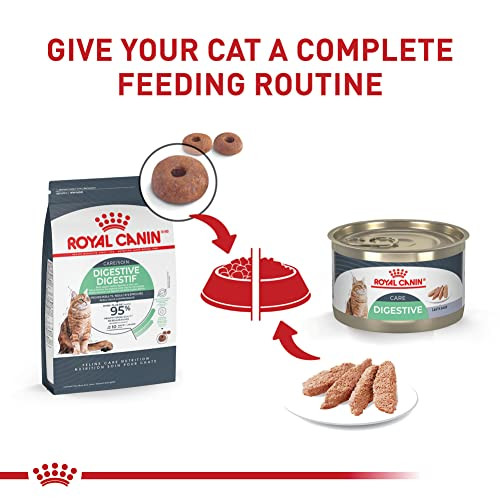 Royal Canin Feline Care Nutrition Digestive Care Adult Loaf In Sauce Cat Food 5.1 Oz Pack Of 24