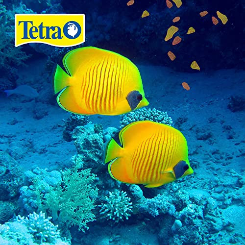 Tetra 16155 Min Large Tropical Flakes For Top/Mid Feeders 5.65Ounce