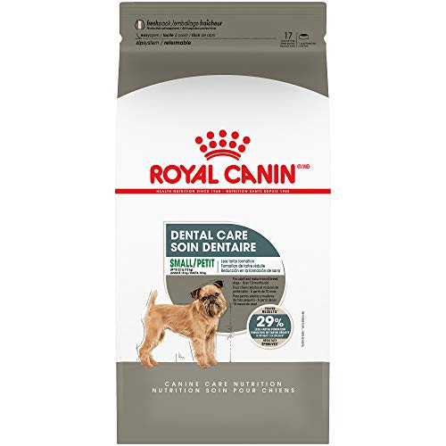 Royal Canin Canine Care Nutrition Small Dental Care Adult Dry Dog Food Bag 17 Lb
