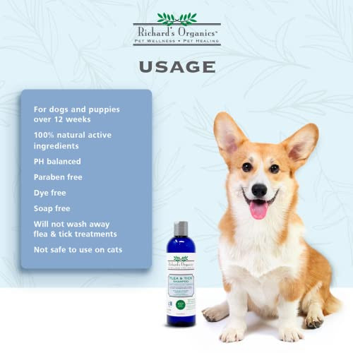 Synergylabs Richard's Organics Flea And Tick Shampoo For Dogs 12Oz