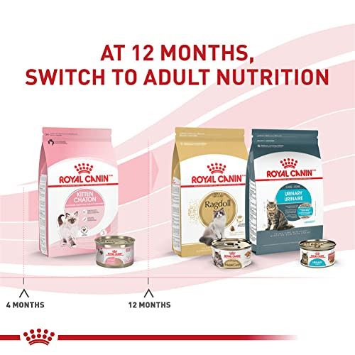 Royal Canin Feline Health Nutrition Kitten Loaf In Sauce Cat Food (Pack Of 5.1 Oz Pack Of 24