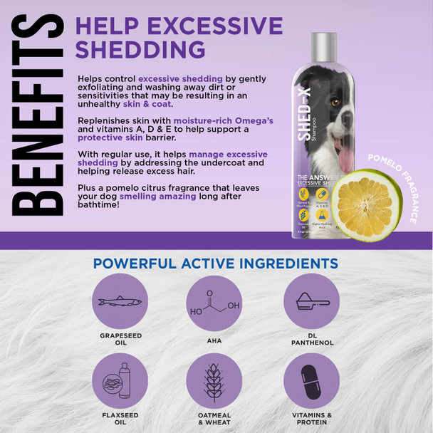 Synergylabs ShedX Shed Control Shampoo For Dogs 16 Oz