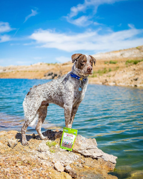 Tender & True Organic Chicken Jerky Treat, 4 oz bag