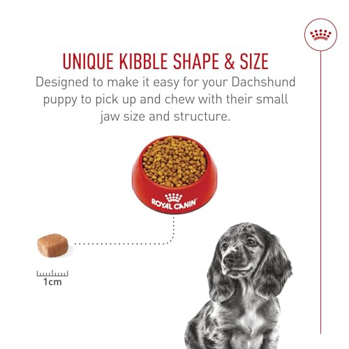 Royal Canin Breed Health Nutrition Dachshund Puppy Dry Dog Food Bag 2.5 Lb