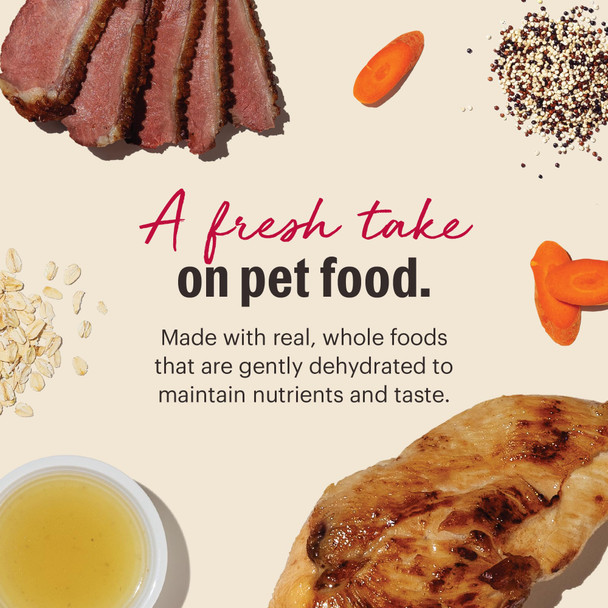 The Honest Kitchen Human Grade Dehydrated Dog Food Gourmet Grains Dog Food Chicken & 4 Lb