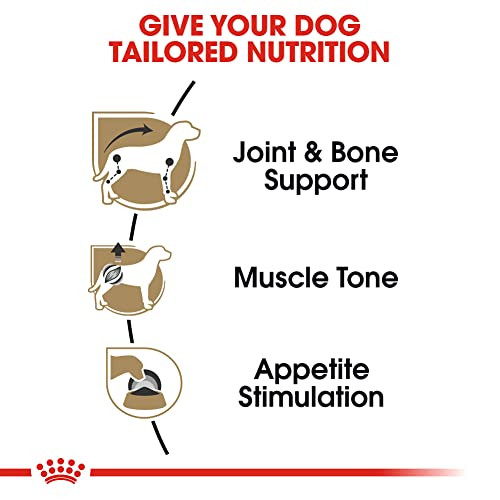 Royal Canin Breed Health Nutrition Dachshund Adult Loaf In Sauce Dog Food (Pack 3 Oz Pack Of 24