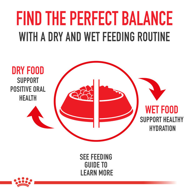 Royal Canin Breed Health Nutrition Golden Retriever Adult Loaf In Sauce Dog Food 13.5 Oz Pack Of 12