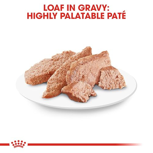 Royal Canin Breed Health Nutrition Shih Tzu Adult Loaf In Sauce Dog Food 3 Oz Pack Of 24