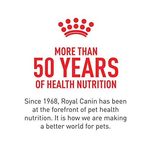 Royal Canin Breed Health Nutrition Shih Tzu Adult Loaf In Sauce Dog Food 3 Oz Pack Of 24