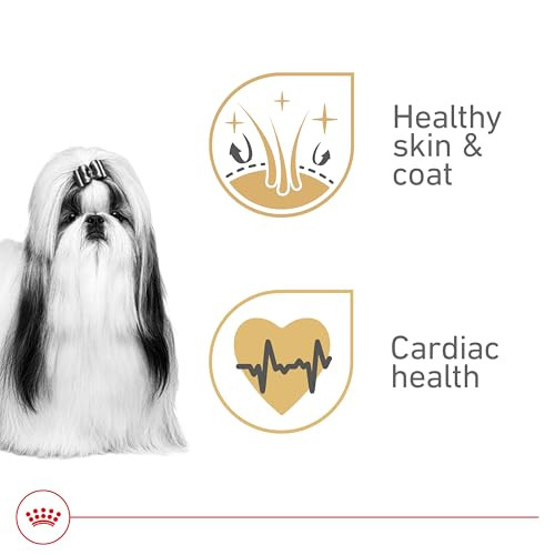Royal Canin Breed Health Nutrition Shih Tzu Adult Loaf In Sauce Dog Food 3 Oz Pack Of 24