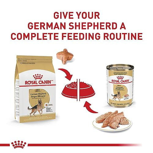 Royal Canin Breed Health Nutrition German Shepherd Adult Loaf In Sauce Dog Food 13.5 Oz Pack Of 12