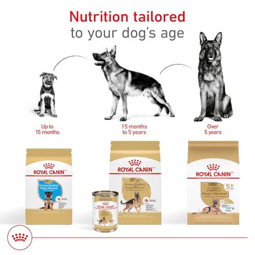 Royal Canin Breed Health Nutrition German Shepherd Adult Loaf In Sauce Dog Food 13.5 Oz Pack Of 12