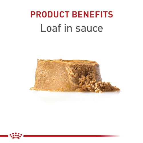 Royal Canin Canine Health Nutrition Puppy Canned Dog Food (Pack Of 12 13.5 Oz Pack Of 12