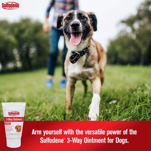 Sulfodene Dog Wound Care 3Way Ointment Relieves Pain & Prevents Infection For 2 Ounce