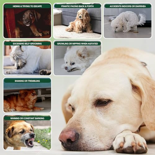 Ziehooge 180 Soft Calming Chews For Dogs Dog Calming Treats Natural Dog 180 Chews