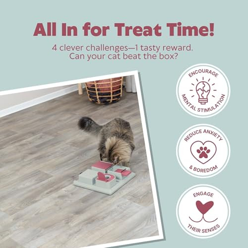 Trixie Cat Activity Poker Box Strategy Game