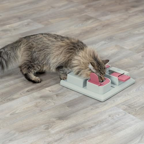 Trixie Cat Activity Poker Box Strategy Game