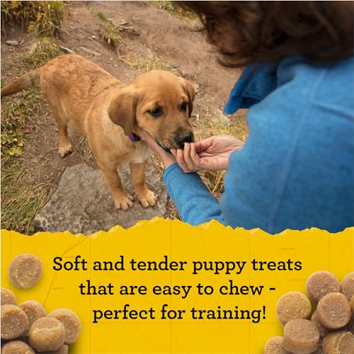 Zuke's Puppy Naturals Dog Training Treats Pork & Chickpea Recipe NutrientRich Mini 5 Oz Pack Of 1