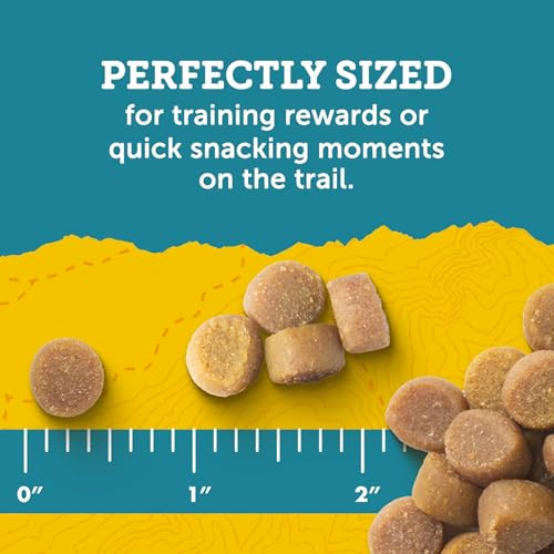 Zuke's Puppy Naturals Dog Training Treats Pork & Chickpea Recipe NutrientRich Mini 5 Oz Pack Of 1