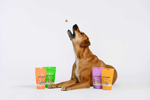 What's Barking Peanut Butter Honey Soft Chews - Premium Chewy Dog Treats, Natural Ingredients, No Wheat, Made in USA - 6 oz (Pack of 1)