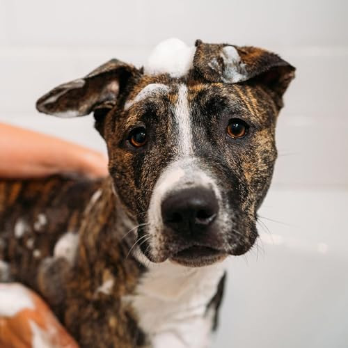 Unite Hair Doggy 'poo Shampoo Hydrating Shampoo That Soothes Skin And Adds 16 Fl Oz