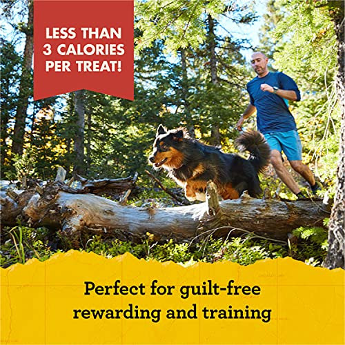 Zuke's Mini Naturals Dog Training Treats Beef Recipe Soft Mini Dog Treats 16 Ounce Pack Of 2