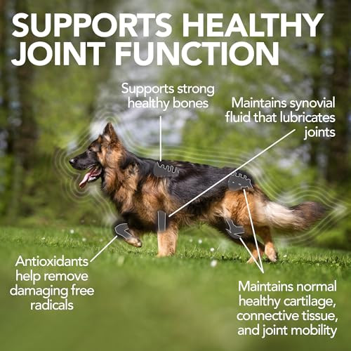 Vet's Best Advanced Hip & Joint Dog Supplements