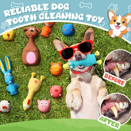 Vertintong 30 Pcs Latex Squeaky Dog Toys Soft Rubber Dog Chew Toy