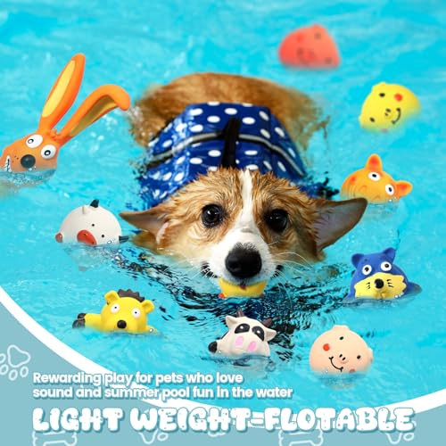 Vertintong 30 Pcs Latex Squeaky Dog Toys Soft Rubber Dog Chew Toy