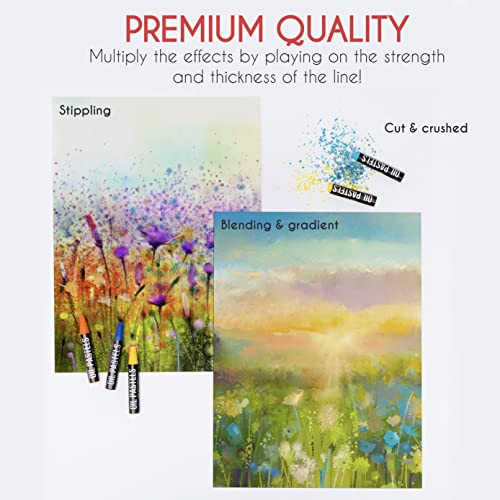 Zenacolor Oil Pastels For Artists (Set Of 48 Set Of 48