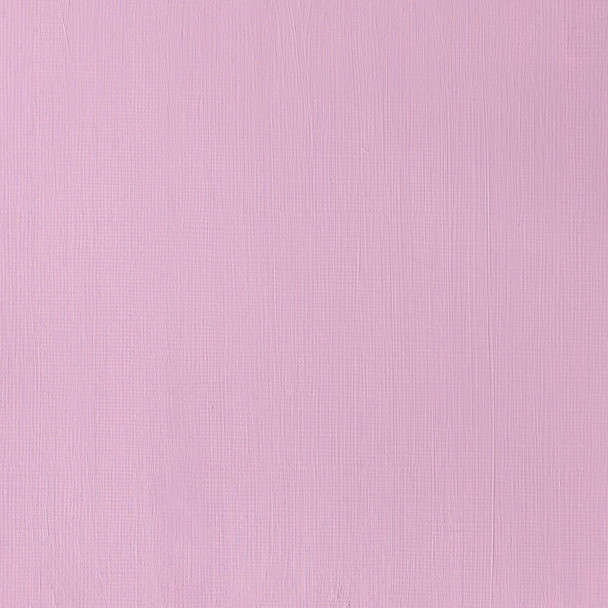 Winsor and Newton WandN 500Ml