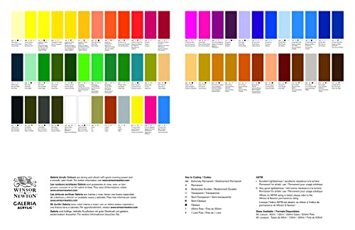 Winsor and Newton Series 1 Bottle Galeria Acrylic Colour With Nozzle Cap 250Ml