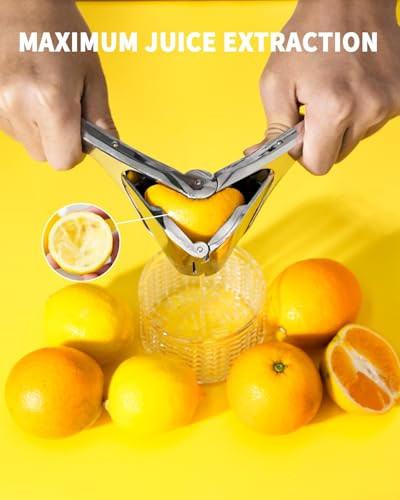 Bagrox Lemon Squeezer Stainless Steel Lemon Juicer Manual Juicer For Lemon Citrus Stainless Steel