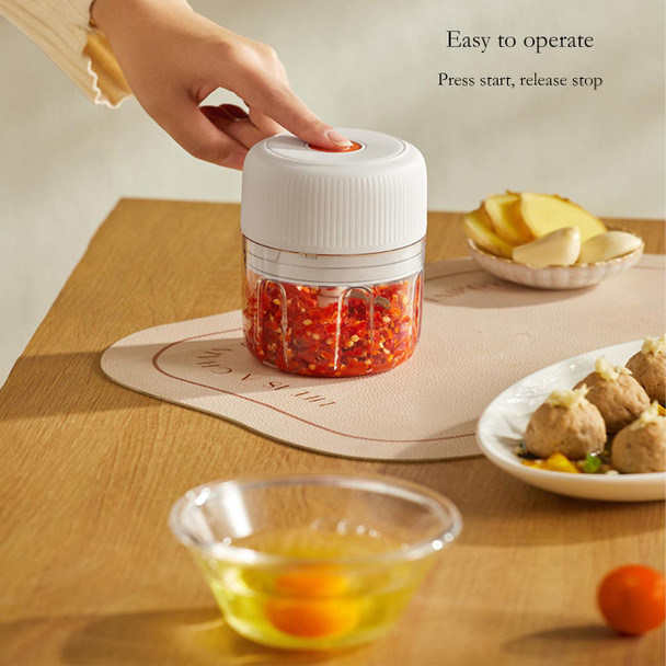 YBaukuang Electric Garlic Chopper Portable Veggie ChopperGarlic Grinder Masher Onion Chopper Cordless 250Ml White