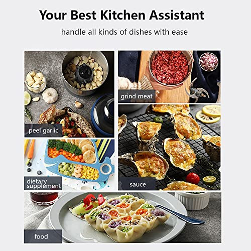 Joydeem Jd376B Electric Food ProcessorMeat Grinder With Garlic PeelerVegetable Fruit Chopper With Stainless Steel