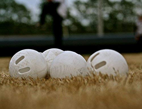 Wiffle Ball Original Brand Baseballs Regulation Baseball Size 24 Count
