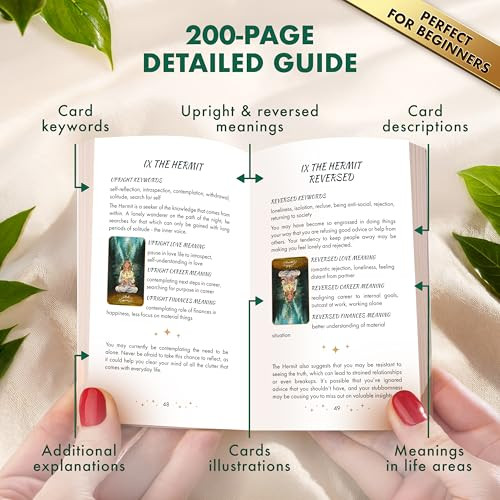 Wyspell Tarot Cards For Beginners