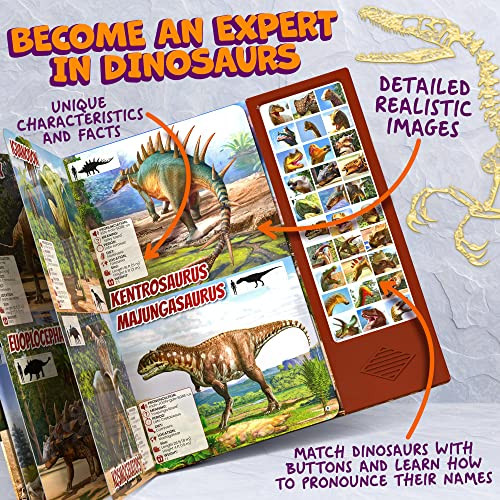 Hemalleon Dinosaur Toys For Kids 35 57 24 Year Old