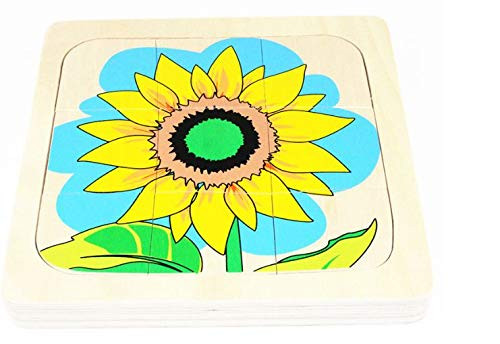 Adena Montessori Life Cycle Of Sunflower Montessori Toddler Montessori Early Child Development Learning