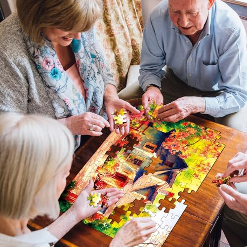 Zoiiwa Dementia Puzzles For Elderly Country Life Dementia Alzheimers Products And Activities 4 Pack