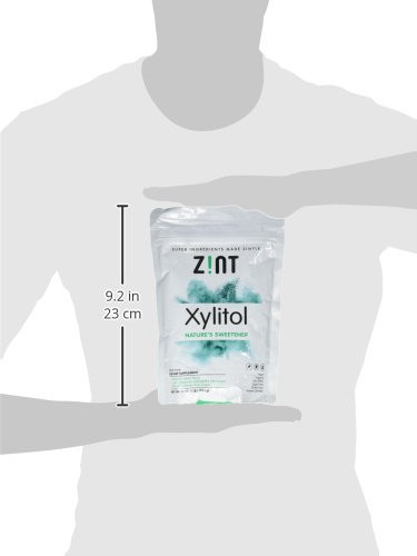 Zint Z Nt Xylitol Sweetener Bag 16 Ounce